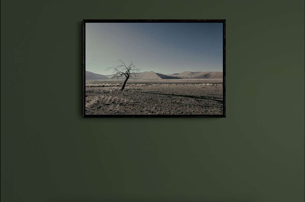 Never Walk Alone 26 Never Walk Alone 26 - Imagen 2