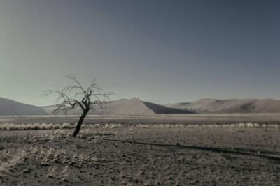 Shop Never Walk Alone 26