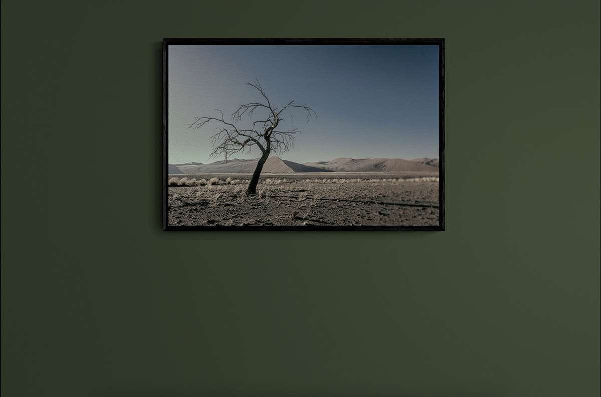 Never Walk Alone 27 Never Walk Alone 27 - Imagen 2