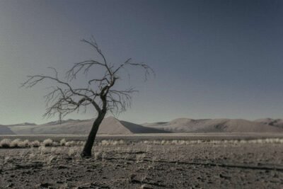 Shop Never Walk Alone 27