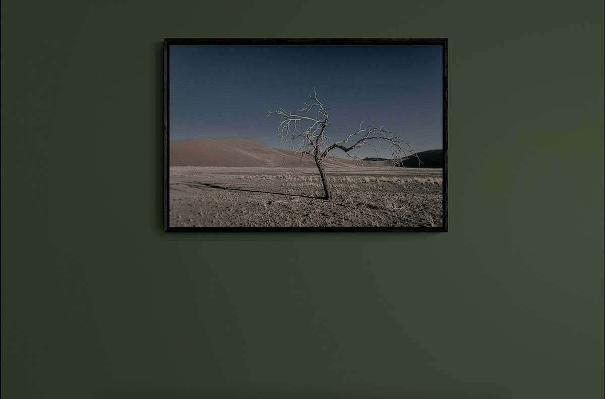 Never Walk Alone 28 Never Walk Alone 28 - Imagen 2