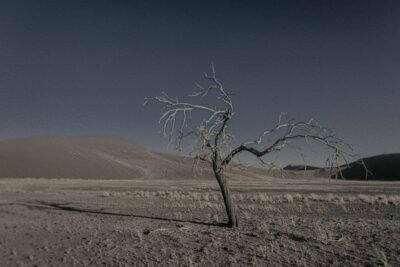 Shop Never Walk Alone 28