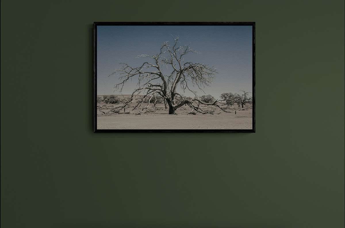 Never Walk Alone 29 Never Walk Alone 29 - Imagen 2