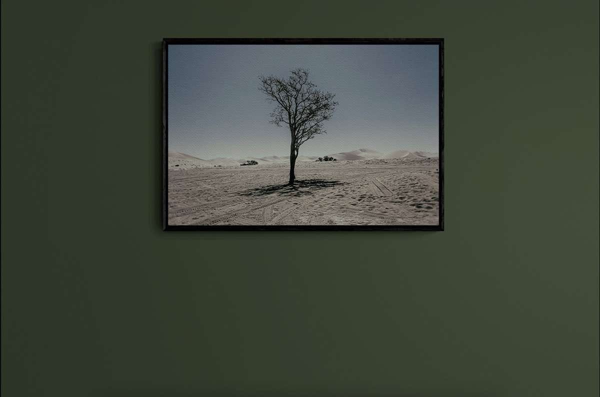 Never Walk Alone 2 Never Walk Alone 2 - Imagen 2