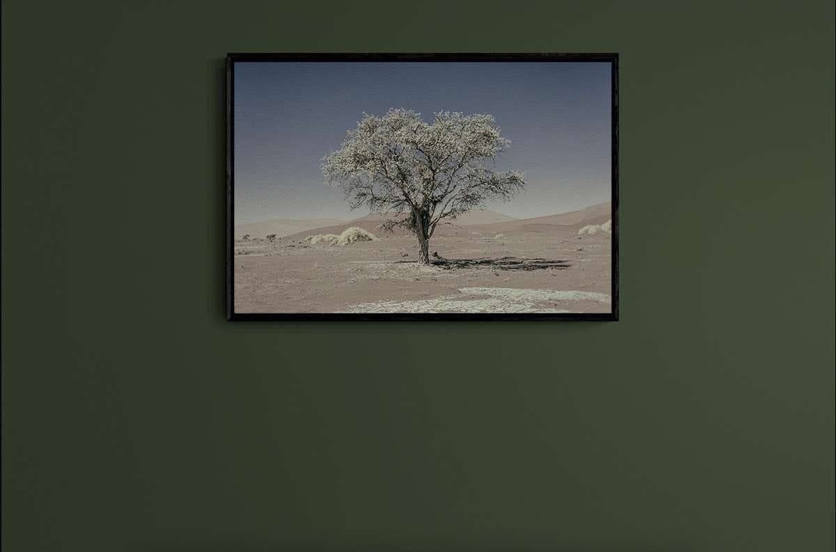 Never Walk Alone 4 Never Walk Alone 4 - Imagen 2