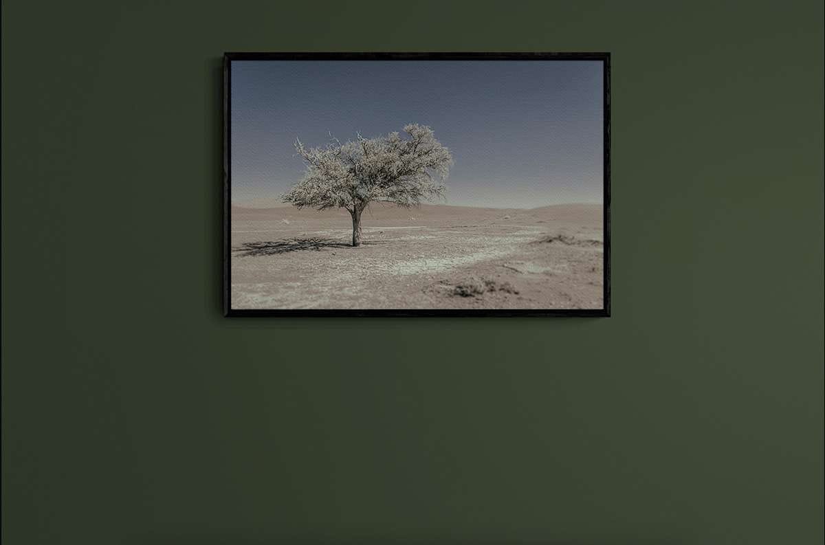 Never Walk Alone 5 Never Walk Alone 5 - Imagen 2