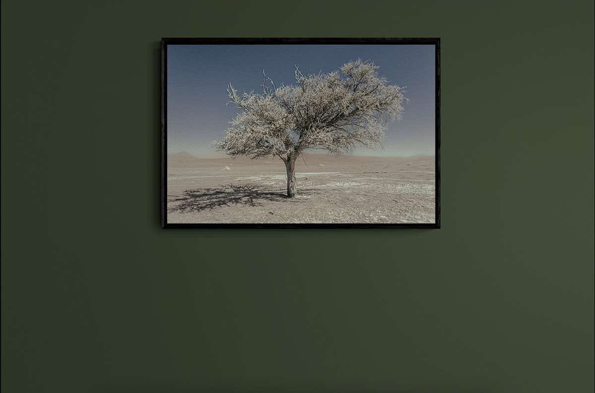 Never Walk Alone 6 Never Walk Alone 6 - Imagen 2