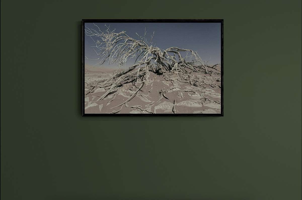 Never Walk Alone 7 Never Walk Alone 7 - Imagen 2