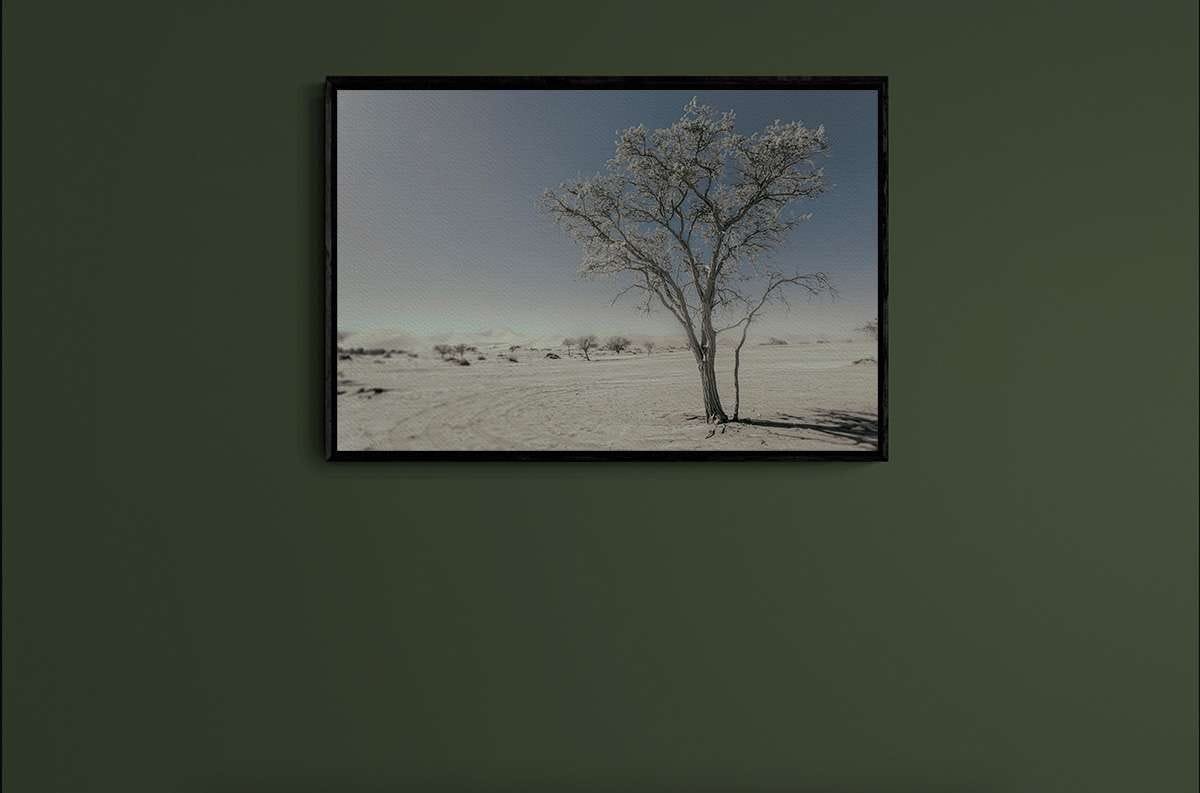 Never Walk Alone 9 Never Walk Alone 9 - Imagen 2