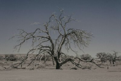 Shop Never Walk Alone 29