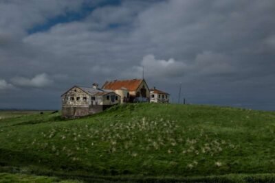 Wabi-Sabi 13 Wabi-Sabi 7