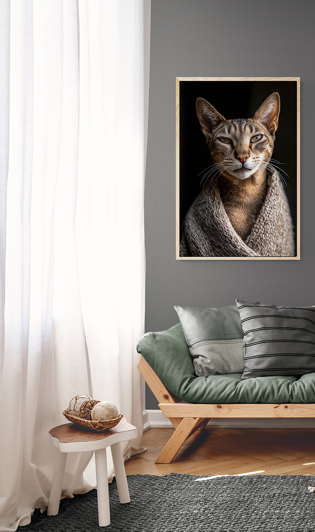 Oriental 5 Oriental 5 - Imagen 2