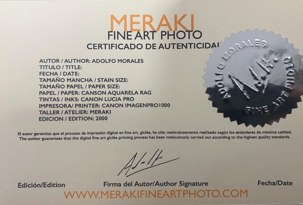 Alone in the City 20 Alone in the City 20 - Imagen 4