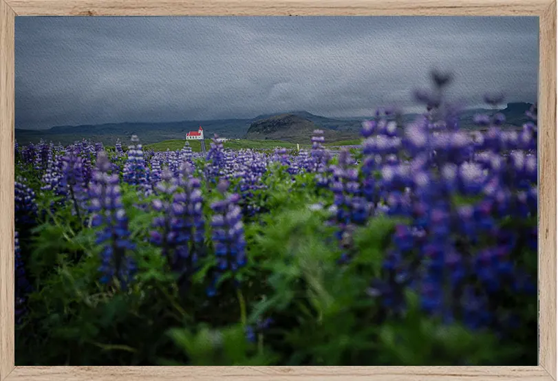 LLAMANDO A LAS PUERTAS DEL CIELO 14 LLAMANDO A LAS PUERTAS DEL CIELO 14 - Imagen 2