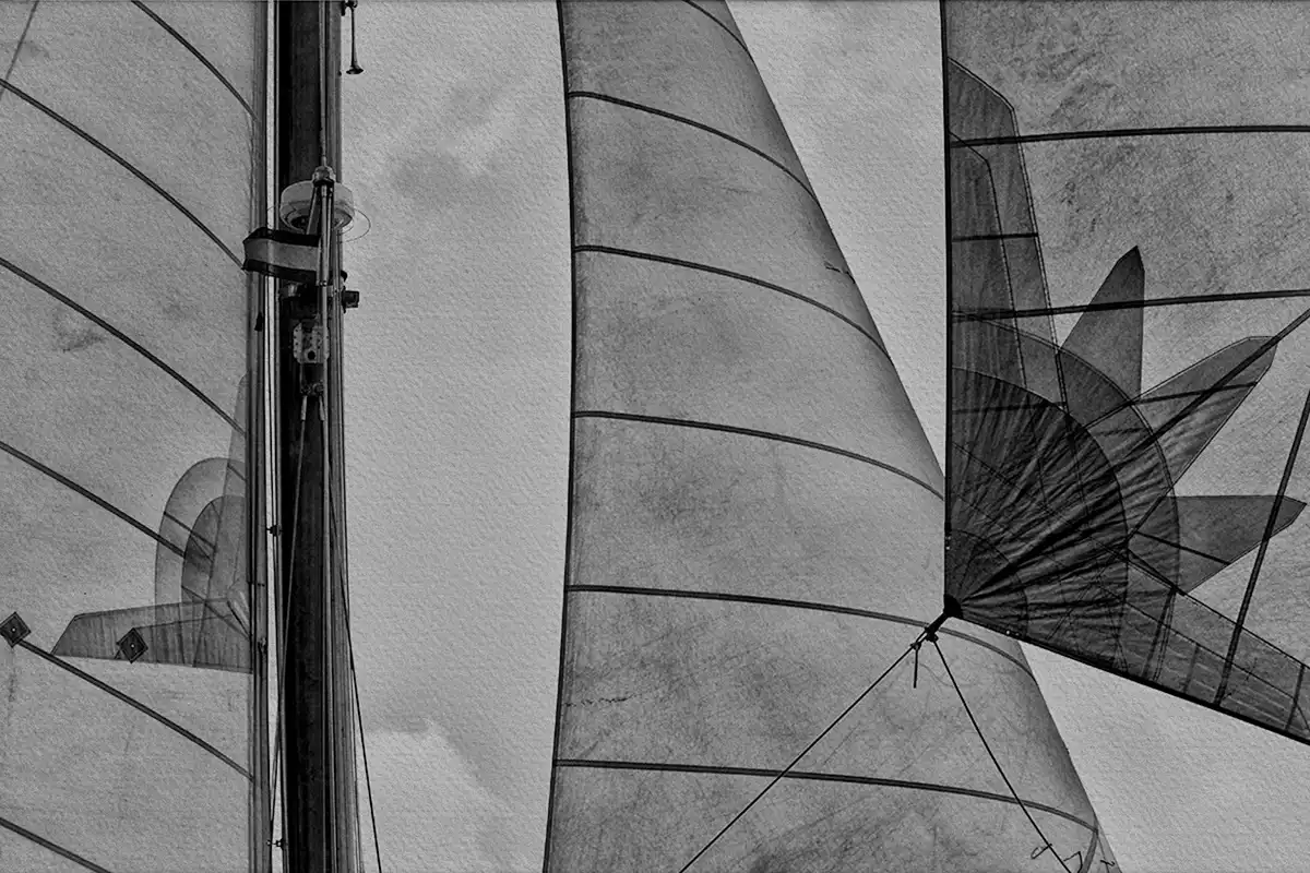 PUÑO DE ESCOTA PUÑO DE ESCOTA