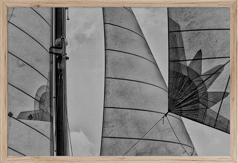 PUÑO DE ESCOTA PUÑO DE ESCOTA - Imagen 2