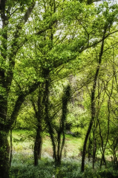 ANDANDO CON LAS NUBES 1