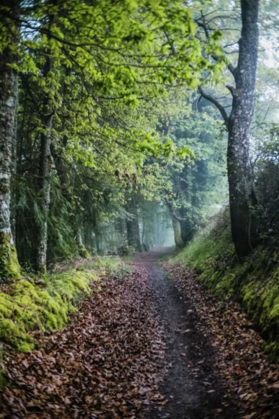 ANDANDO CON LAS NUBES 10