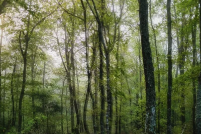 ANDANDO CON LAS NUBES 2 ANDANDO CON LAS NUBES 12