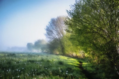 ANDANDO CON LAS NUBES 14