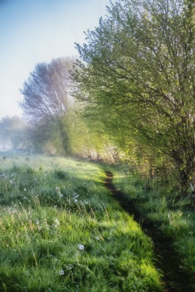ANDANDO CON LAS NUBES 1 ANDANDO CON LAS NUBES 15