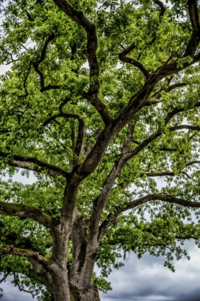 ANDANDO CON LAS NUBES 16