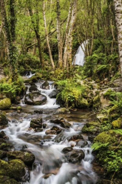 ANDANDO CON LAS NUBES 2 ANDANDO CON LAS NUBES 4