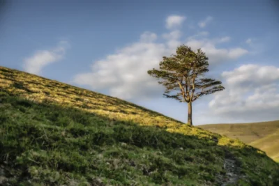 ANDANDO CON LAS NUBES 8 ANDANDO CON LAS NUBES 7