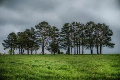 ANDANDO CON LAS NUBES 8