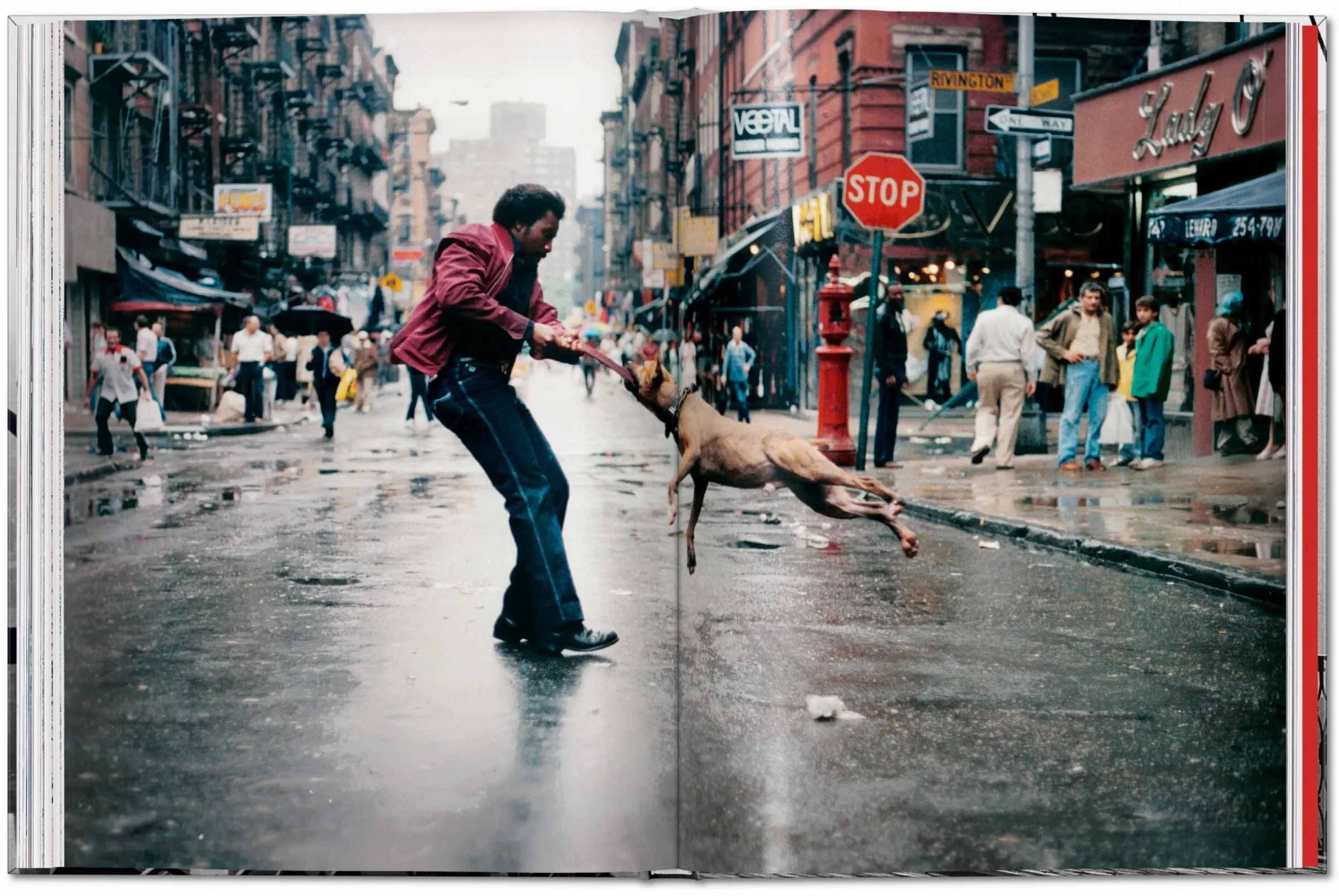 New York. Portrait of a City New York. Portrait of a City - Imagen 6