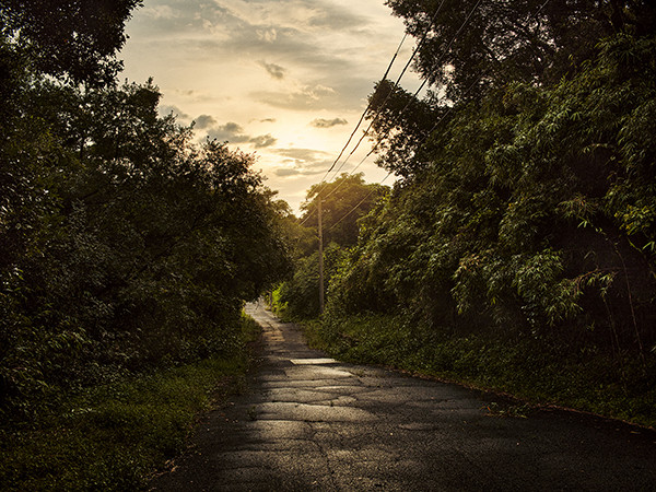 Nemurushima Nemurushima - Imagen 8