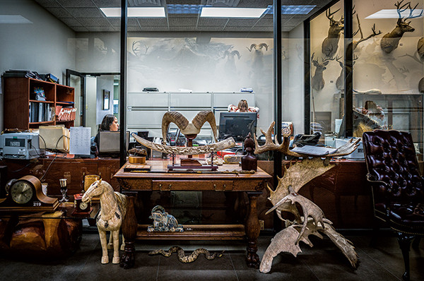 Locations From a Movie Locations From a Movie - Imagen 4