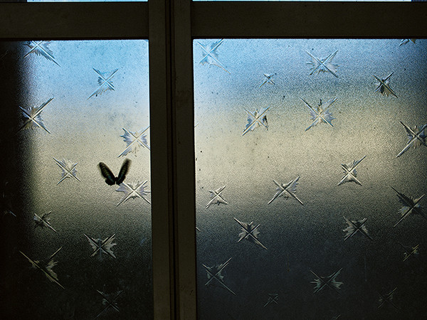 Nemurushima Nemurushima - Imagen 2