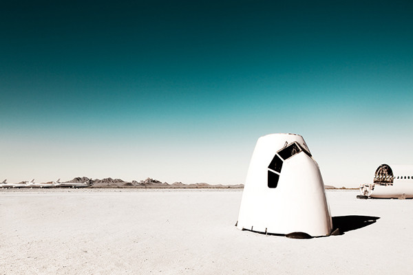 Desert Birds Desert Birds - Imagen 6