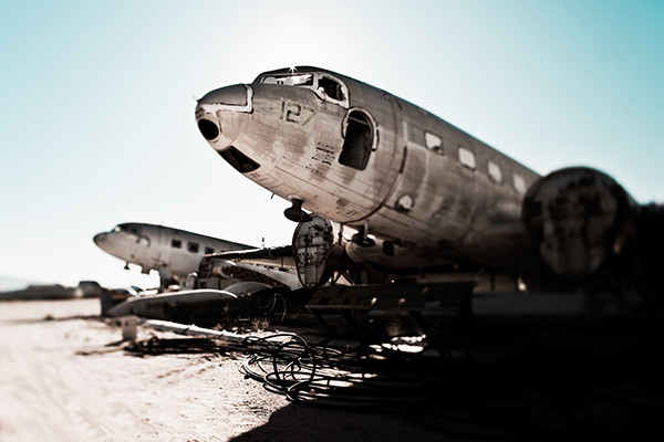 Desert Birds Desert Birds - Imagen 5