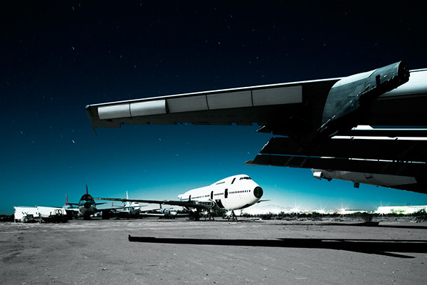 Desert Birds Desert Birds - Imagen 4