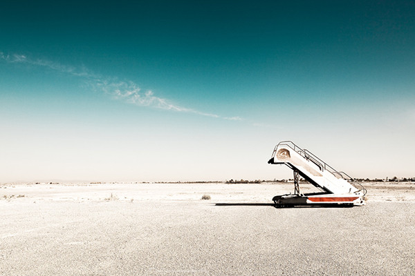 Desert Birds Desert Birds - Imagen 3