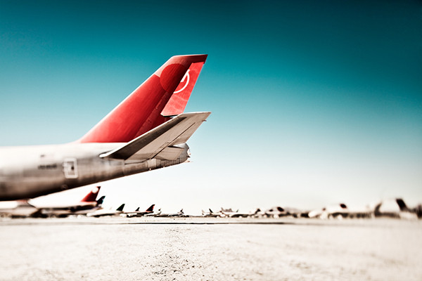 Desert Birds Desert Birds - Imagen 2