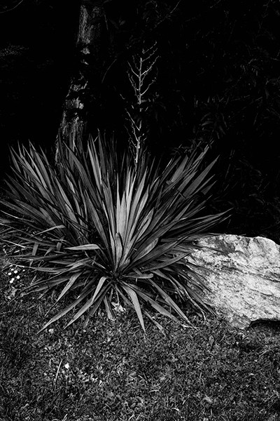 Mineriada Mineriada - Imagen 5