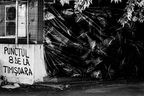 Mineriada Mineriada - Imagen 3